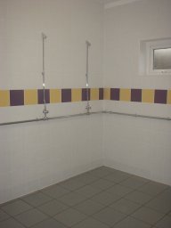 shower.jpg